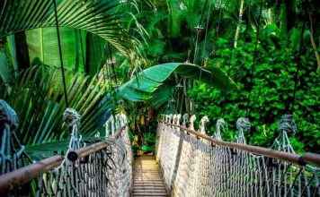 Jak długo jest ważny kurs na przewóz rzeczy?