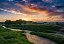 Jak zachęcić rodziców do współpracy ze szkołą?