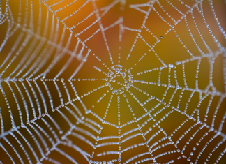 Ile netto na rękę w 2023?