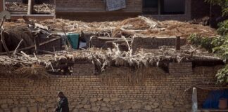 Jakie są normy formalne?