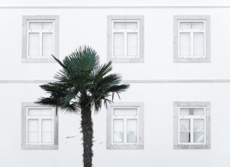 Jaki Windows na laptopa?