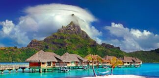 Czy należy się urlop na okresie próbnym?