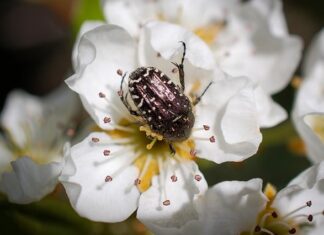 Ile za wczasy pod gruszą 2023? Ile za wczasy pod gruszą 2023?