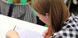 Czy warto studiować w Holandii?