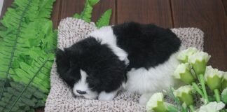 W jaki sposób można zapewnić wieży integralności w relacyjnej bazie danych?