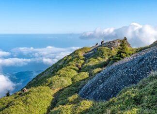 Jaka jest różnica pomiędzy SVN oraz Git?