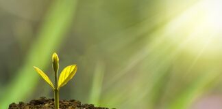 Jak wspomagać rozwój przedszkolaka?